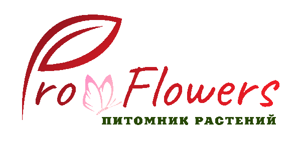 Анапский питомник растений. Рассада, цветы, растения